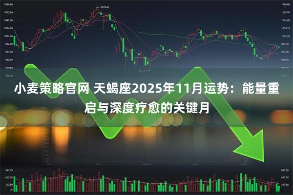 小麦策略官网 天蝎座2025年11月运势：能量重启与深度疗愈的关键月