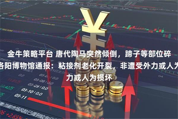 金牛策略平台 唐代陶马突然倾倒，蹄子等部位碎裂，洛阳博物馆通报：粘接剂老化开裂，非遭受外力或人为损坏